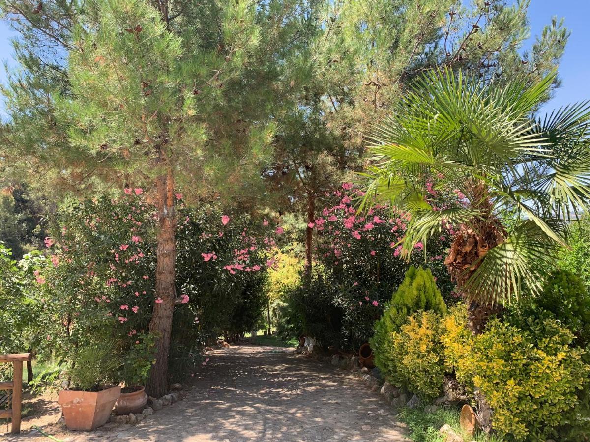 Villa Cortijo La Julia à Orcera Extérieur photo